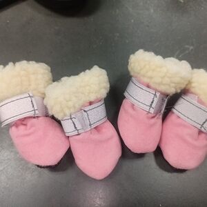 Small dog shoes, in pink